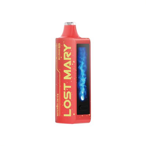 Lost Mary